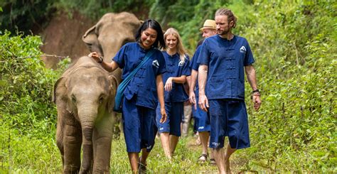 animal volunteer abroad programs.